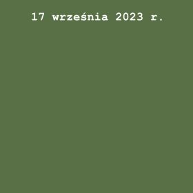 I Festiwal Pocieszny. Koncert Mamy Śpiewamy Orkiestra