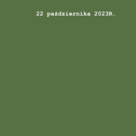 XI Regionalny Przegląd Chórów PIEŚNI MARYJNE